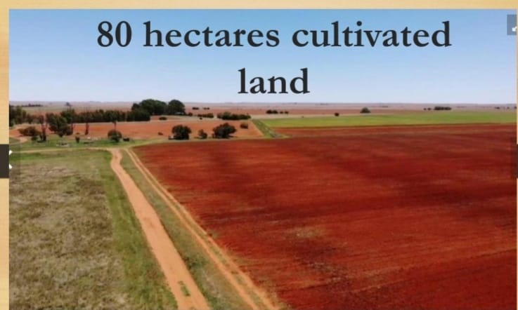 Commercial Property for Sale in Dealesville Free State